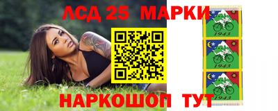 индика Кандалакша