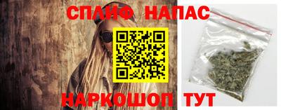 индика Кандалакша