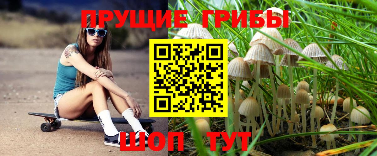 Псилоцибиновые грибы мицелий  Вход с VPN  Лысьва 